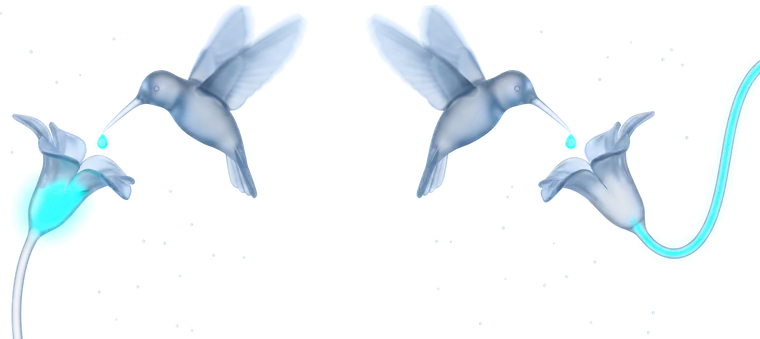 Two glass hummingbirds at two identical flowers — one fed from its own stem, the other by a vine arriving from elsewhere — with an identical droplet at each beak.
